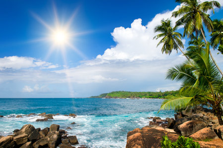 Picturesque tropical beach with palm trees on the shore.の写真素材