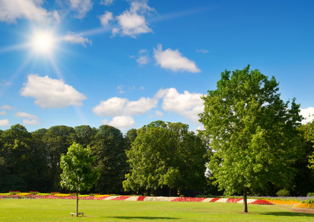 Beautiful garden with a flower garden and a lawn.の写真素材