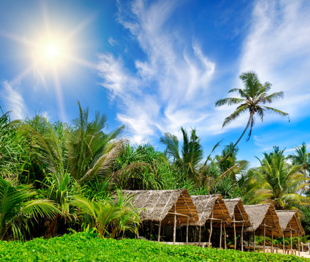 Beach bungalows set against a backdrop of lush tropical vegetation. The concept is travel. bright sunny day.の写真素材