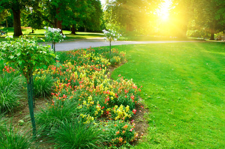 Summer garden with flowerbeds and laws. Evening, sunset.の写真素材