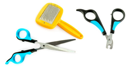 Scissors, slicker and nail clipper isolated on a white background. Wide photo. Collage.の写真素材