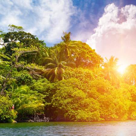 A picturesque lake with mangrove forests on the shore and a bright sunset. Sri Lankaの写真素材