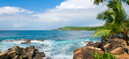 Picturesque tropical beach with palm trees on the shore. Wide photo.の写真素材