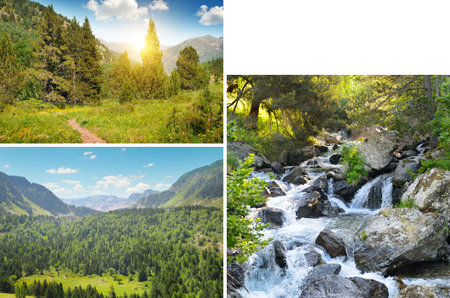 Pyrenees mountains in Andorra, forest,Bright sunrise, mountain river and waterfall. Concept -...