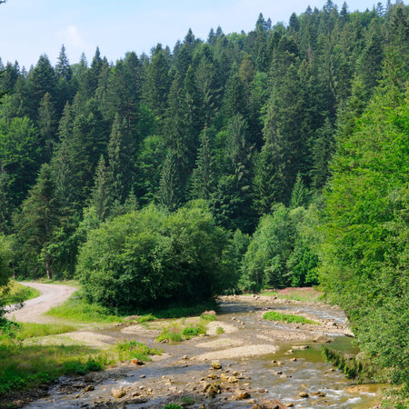 Mountain river, coniferous forest - beautiful summer landscape.