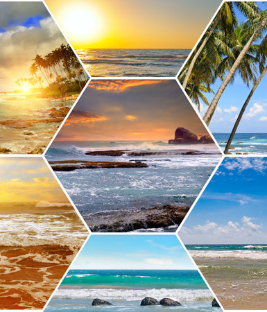 Tropical beaches, palm trees and bright sun. Collage. Concept - vacation and travel. Vertical photo.の写真素材