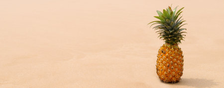 Exotic ripe pineapple with green crown placed on sandy coast near sea in tropical resort on summer day. Wide photo.の写真素材