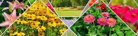 Colorful collage of flowers and garden. Collage. Wide photo.の写真素材