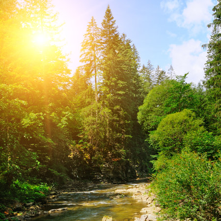 River in mountains. Wonderful springtime scenery of Carpathian countryside. blue water among green forest and rocky shore.の写真素材