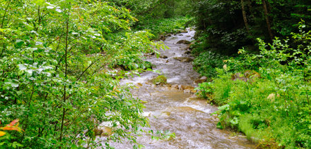 Mountain river with a rocky bed and green forest on the banks. Rainy cloudy weather. Wide photo.の写真素材