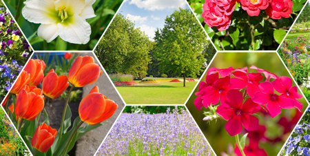 Colorful collage of flower garden. Mosaic pattern. Wide photo.の写真素材