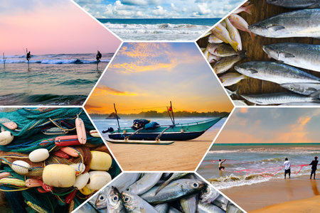 Fisheries on the coast of Sri Lanka. Photo collage. Mosaic pattern.の写真素材