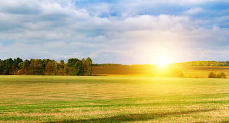 Harvested fields and meadows. Wavy rural autumn landscape and sunset. Wide photo.の写真素材