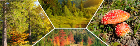 Colorful autumn landscape. Mountain slopes and autumn forests . Collage. Carpathian Mountains, Ukraine. Wide photo.の写真素材