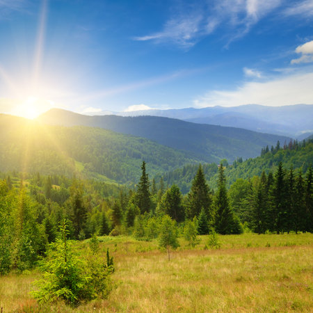 Majestic mountains landscape under morning sky with clouds. Carpathian, Ukraine, Europe. Mountain travel, freedom and active lifestyle concept.の写真素材
