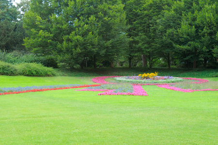 A beautiful city garden with a bright flower bed and a green meadow.の写真素材