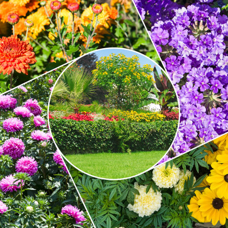 Colorful collage of flowers and garden. Mosaic pattern.の写真素材