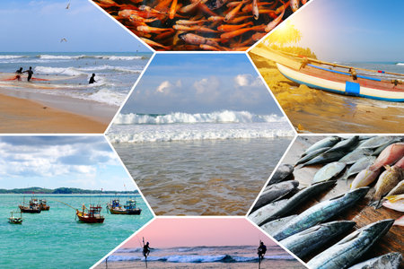 Fishing in the Indian Ocean. Fishermen with a rod, net and on fishing boats. Collage. Sri Lanka. The concept is travel. Mosaic pattern.の写真素材