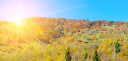 Picturesque autumn landscape with mountain ranges, deciduous forests and bright sunrise. Carpathian Mountains, Ukraine. Wide photo. Wide photo.の写真素材
