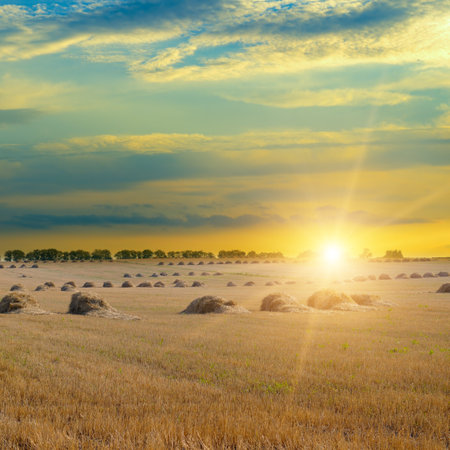 A field with haystacks on an evening with a cloudy sky in the background at sunset or sunrise.の写真素材