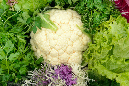 Set of green leafy vegetables. Bright background.の写真素材