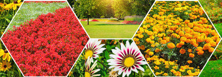 Colorful collage of flowers and garden. Mosaic pattern. Wide photo.の写真素材