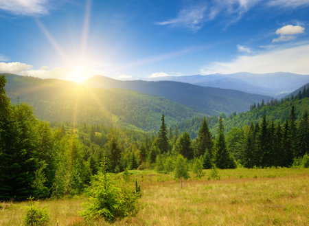 Picturesque mountain landscape, vast meadow, pine forest and beautiful sunset.の写真素材