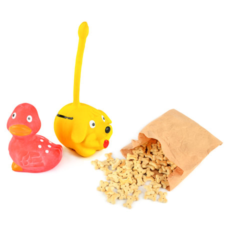 Pet toys and Cookies, dog treat isolated on white background. Collage. There is free space for text.の写真素材