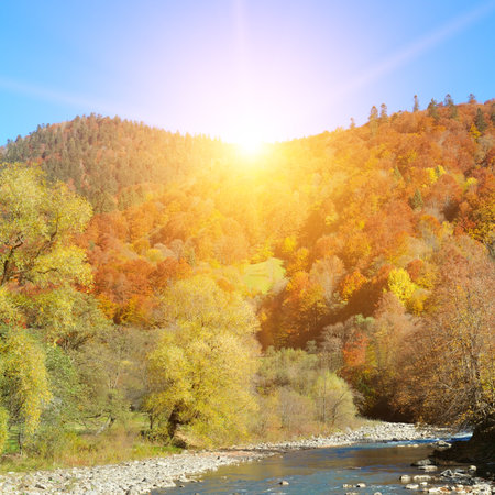 Beautiful sunset in mountains in autumn. view of forest with red trees on mountain, river, hills in fall in Ukraine. Colorful landscape.の写真素材