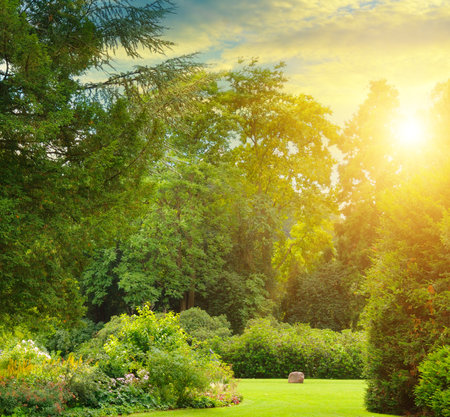 Beautiful garden with coniferous and deciduous trees and bright sunrise.の写真素材