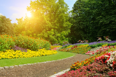 Summer garden with beautiful flowerbeds and bright sunrise.の写真素材