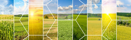 Agricultural fields and blue sky. Photo collage. Wide photo.の写真素材