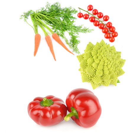 Set of vegetables isolated on white background. Collage. Free space for text.の写真素材