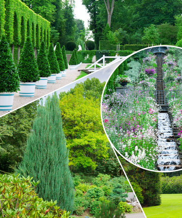 Beautiful garden with coniferous and deciduous trees. Collage. Mosaic pattern. Vertical photo.の写真素材