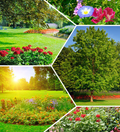 Flowerbeds in gardens and parks. Collage. Mosaic pattern.の写真素材