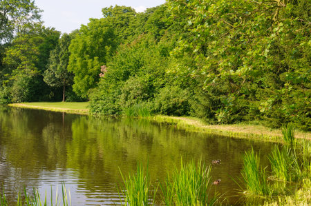 Beautiful colorful summer spring natural landscape with a lake in Park surrounded by green foliage of trees in sunlightの写真素材