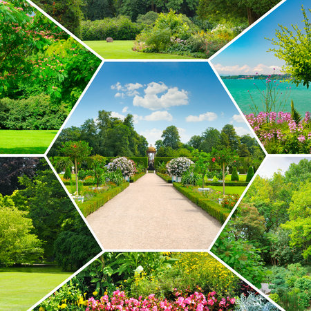 Flowerbeds in gardens and parks. Collage. Mosaic pattern.の写真素材