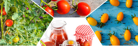 Ripe red tomatoes, ketchup, juice and canned tomatoes. Collage. Mosaic pattern. Wide photo.の写真素材