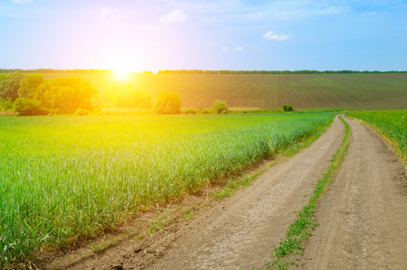 Straight country road, green farmland natural scenery and bright sunset.の写真素材