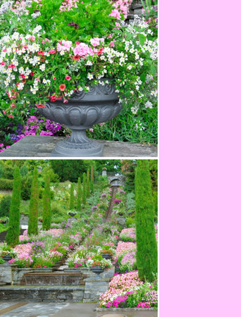 A creative collage image featuring two views of a stunning terraced garden with lush flowers and ornamental urns. A large pink copy space is provided on the right, perfect for text or graphic overlays.の写真素材