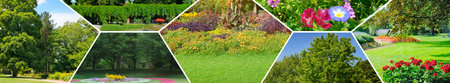This creative photo collage features a mosaic of various public park scenes, including lush green...