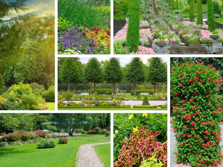 A dynamic, multi-panel collage featuring diverse images of beautiful park and garden landscapes, including manicured flower beds, winding paths, lush trees, and climbing red geraniums. The composition captures the serenity and vibrancy of ornamental gardening and summer nature.の写真素材