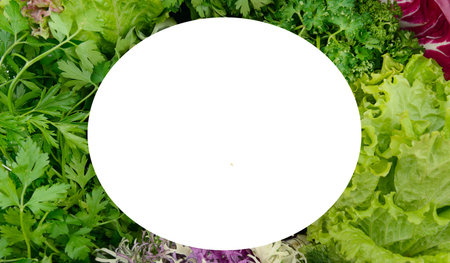 A vibrant arrangement of fresh lettuce, parsley, and purple kale forms a natural border around a white circle. Perfect for health, nutrition, or recipe content with ample copy space.の写真素材