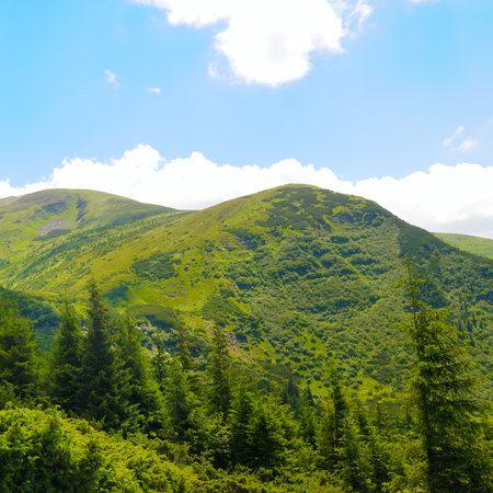 Lush green mountain slopes stretch toward a bright blue sky filled with soft white clouds. This...