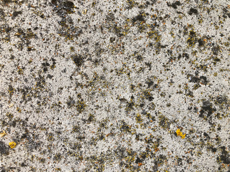 gray stone texture for presentation backgroundの写真素材