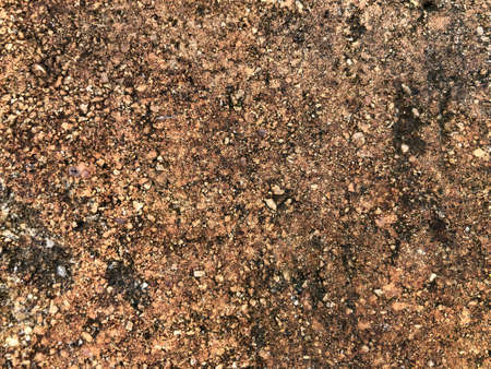 Grunge colorful dirty concrete texture background.の写真素材