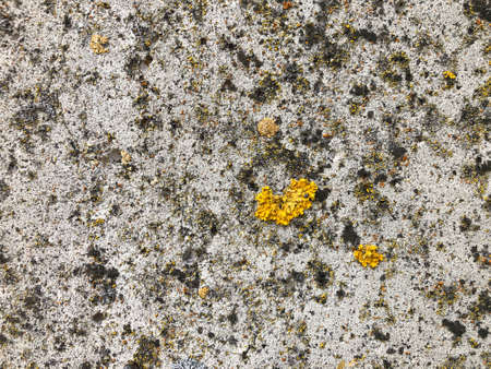 gray stone texture for presentation backgroundの写真素材