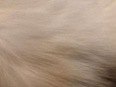 light wool texture background for presentationの写真素材