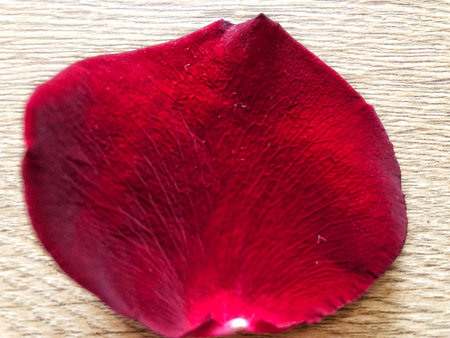 red rose petals on wooden backgroundの写真素材