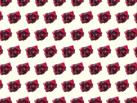 red rose pattern on a light backgroundの写真素材